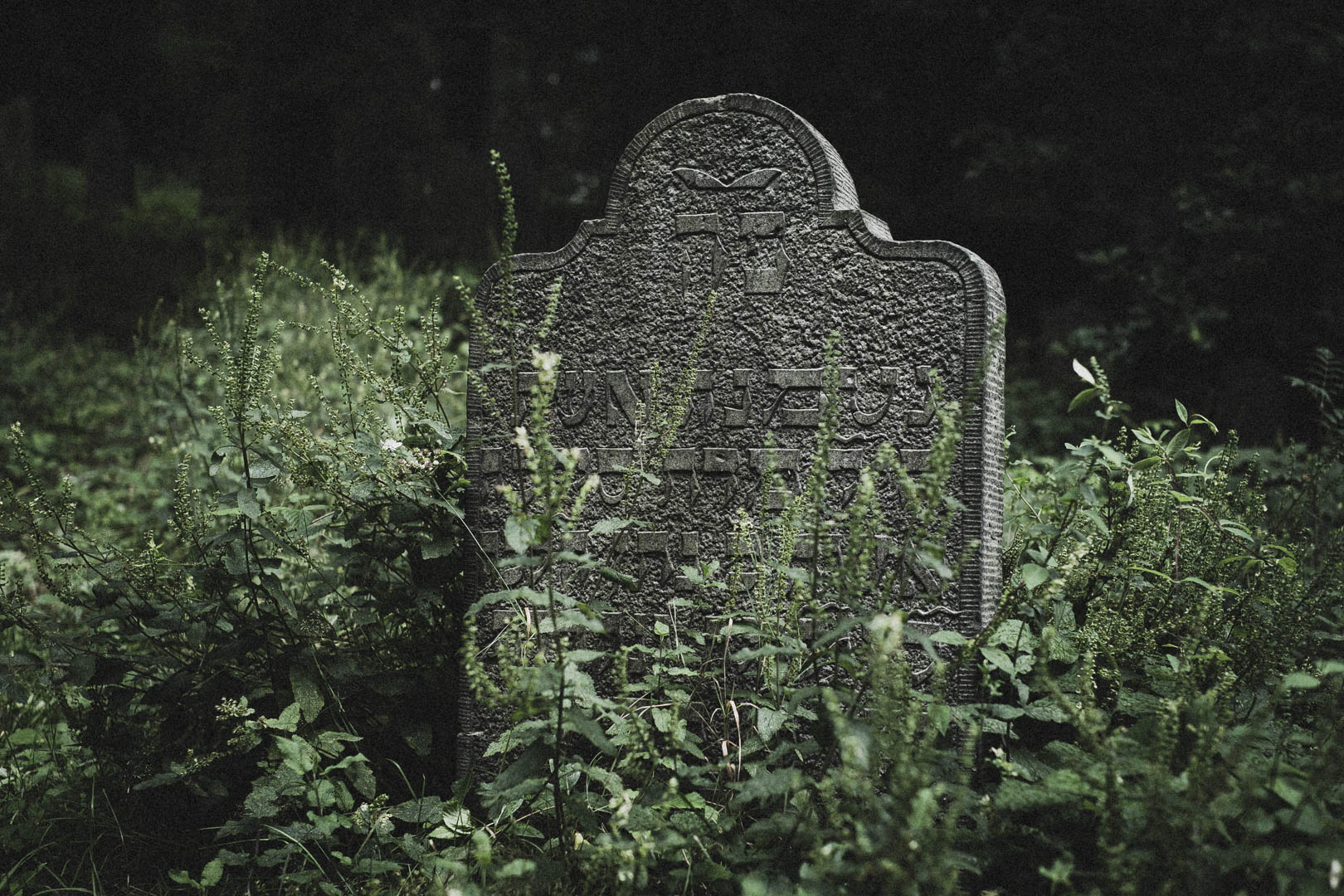 Obernkirchen, Jüdischer Friedhof